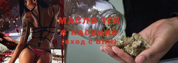 крисы Елабуга