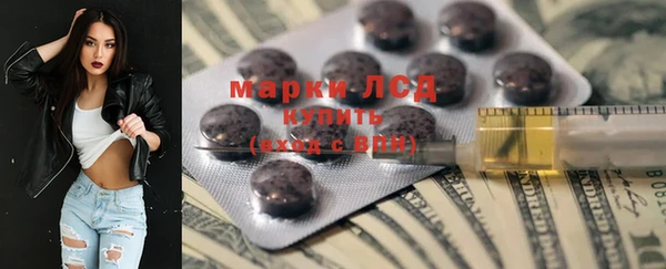 крисы Елабуга
