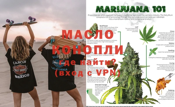 крисы Елабуга