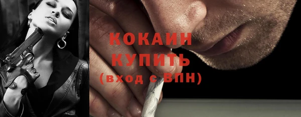 меф Ельня