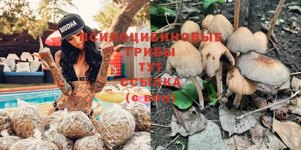 крисы Елабуга