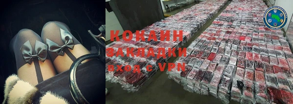 крисы Елабуга