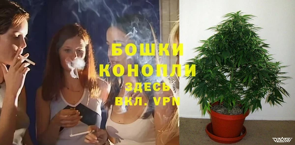 меф Ельня