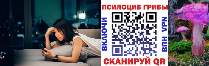 Купить где  Кыштым  Галлюциногенные грибы мицелий 